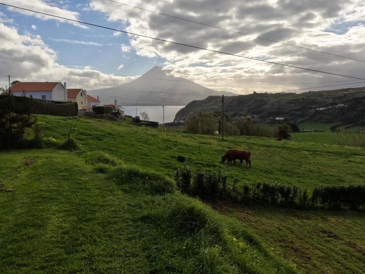 Apartamentos Praia Do Almoxarife Horta  Εξωτερικό φωτογραφία